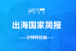 易币付(中国)GO GLOBAL | 沙特阿拉伯国家简报